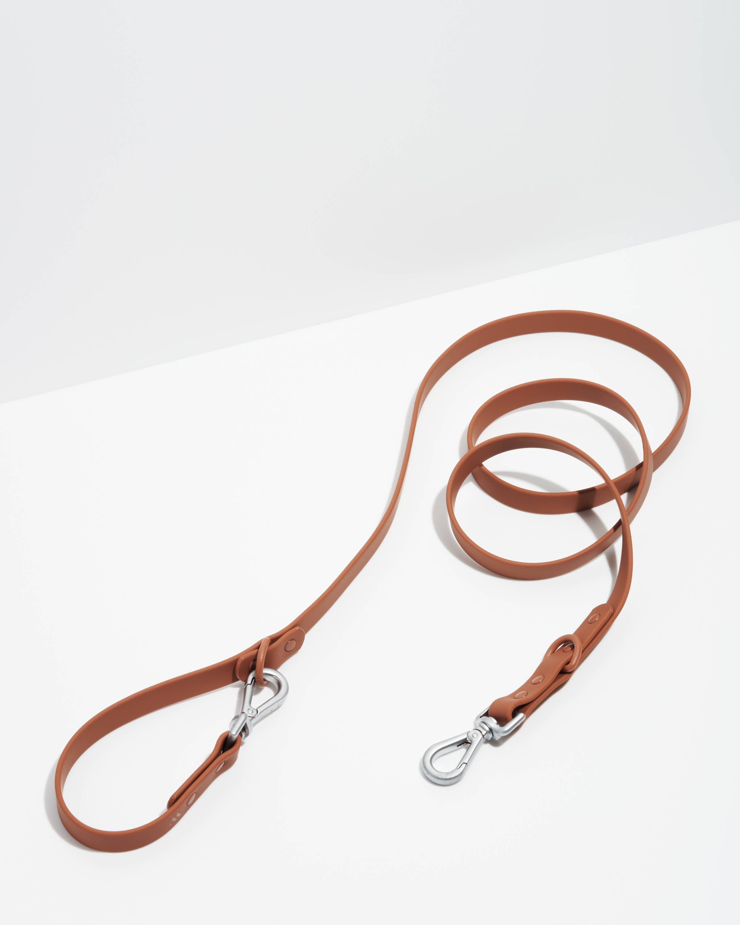 Dog Leash