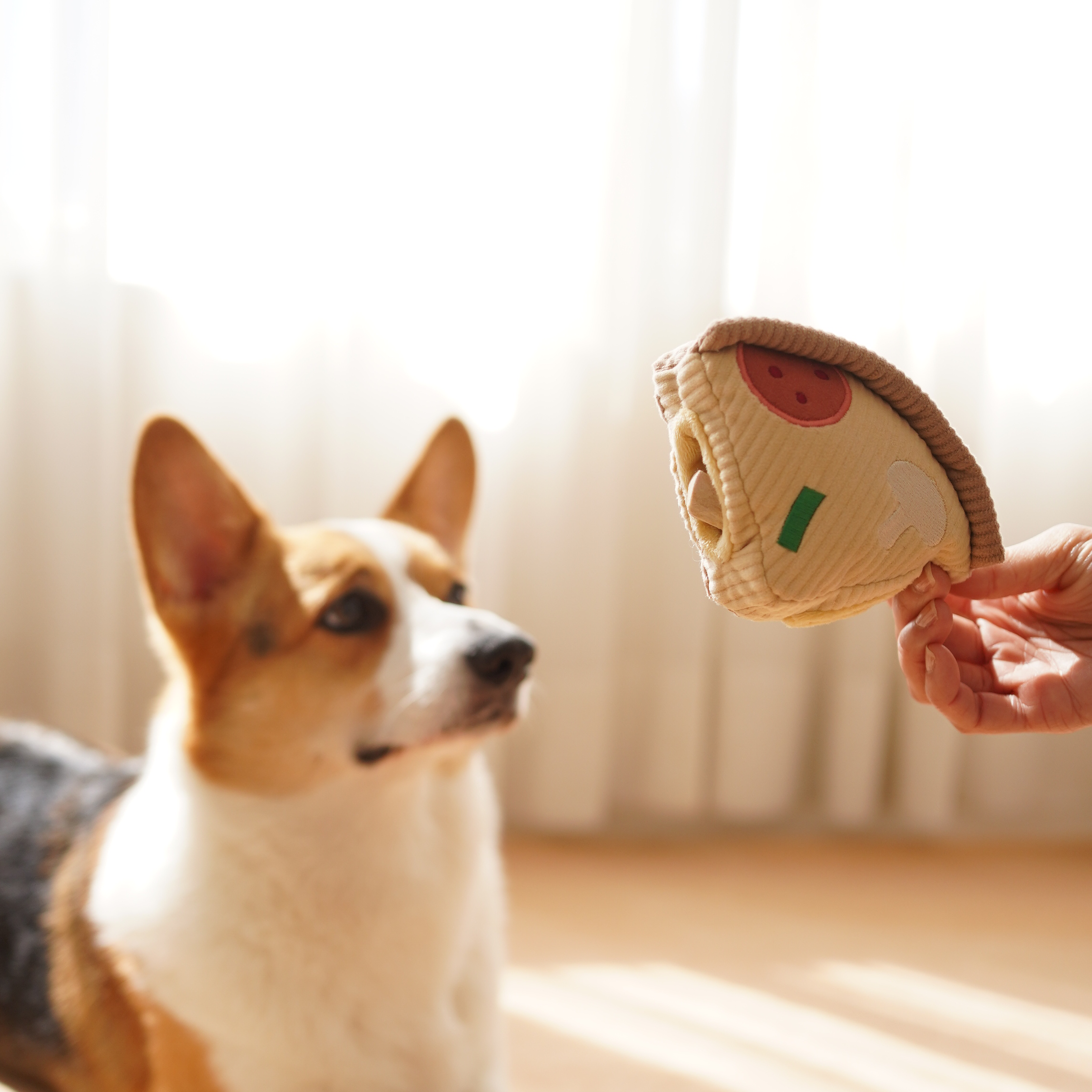 Deep Dish Pizza Dog Toy