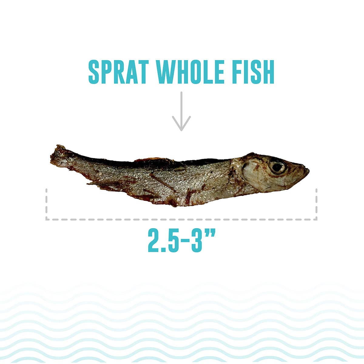 Sprat Whole Fish Dog Treats