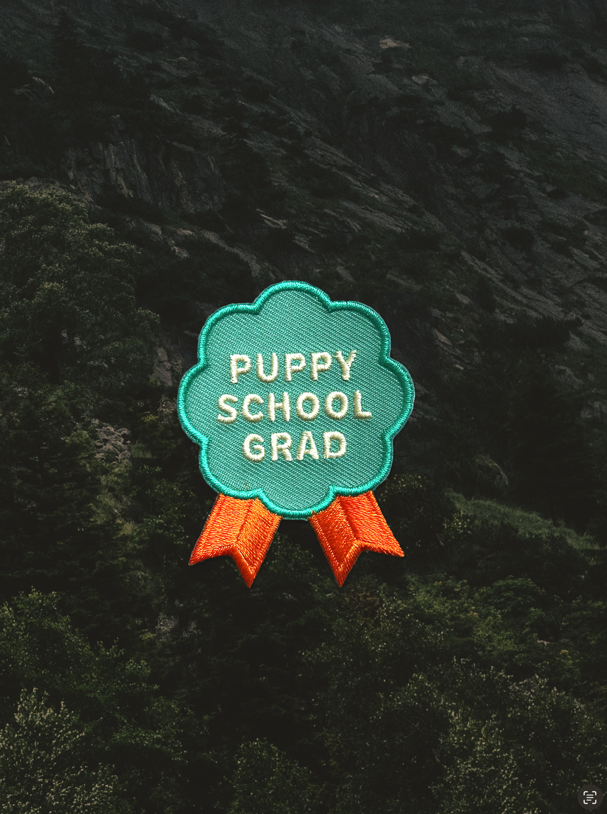 Puppy School Grad Iron-On Patch