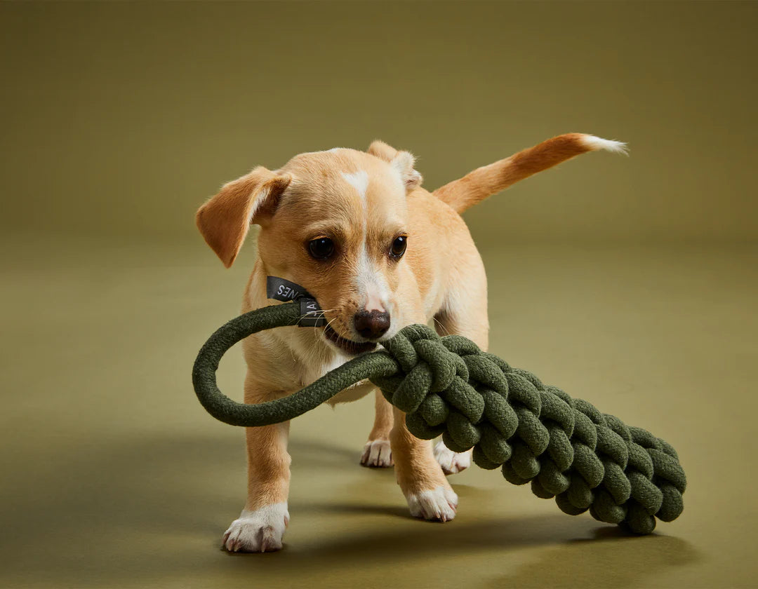 Top Tugger Rope Dog Toy