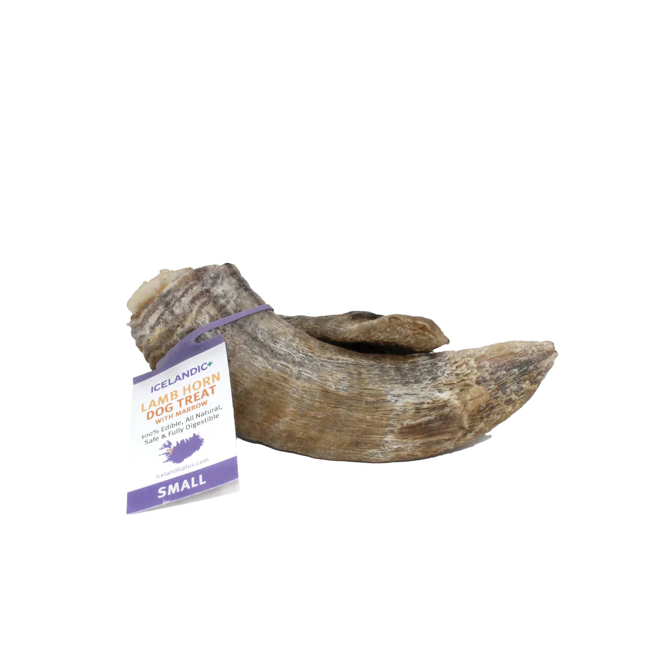 Large Lamb Horn Dog Chew