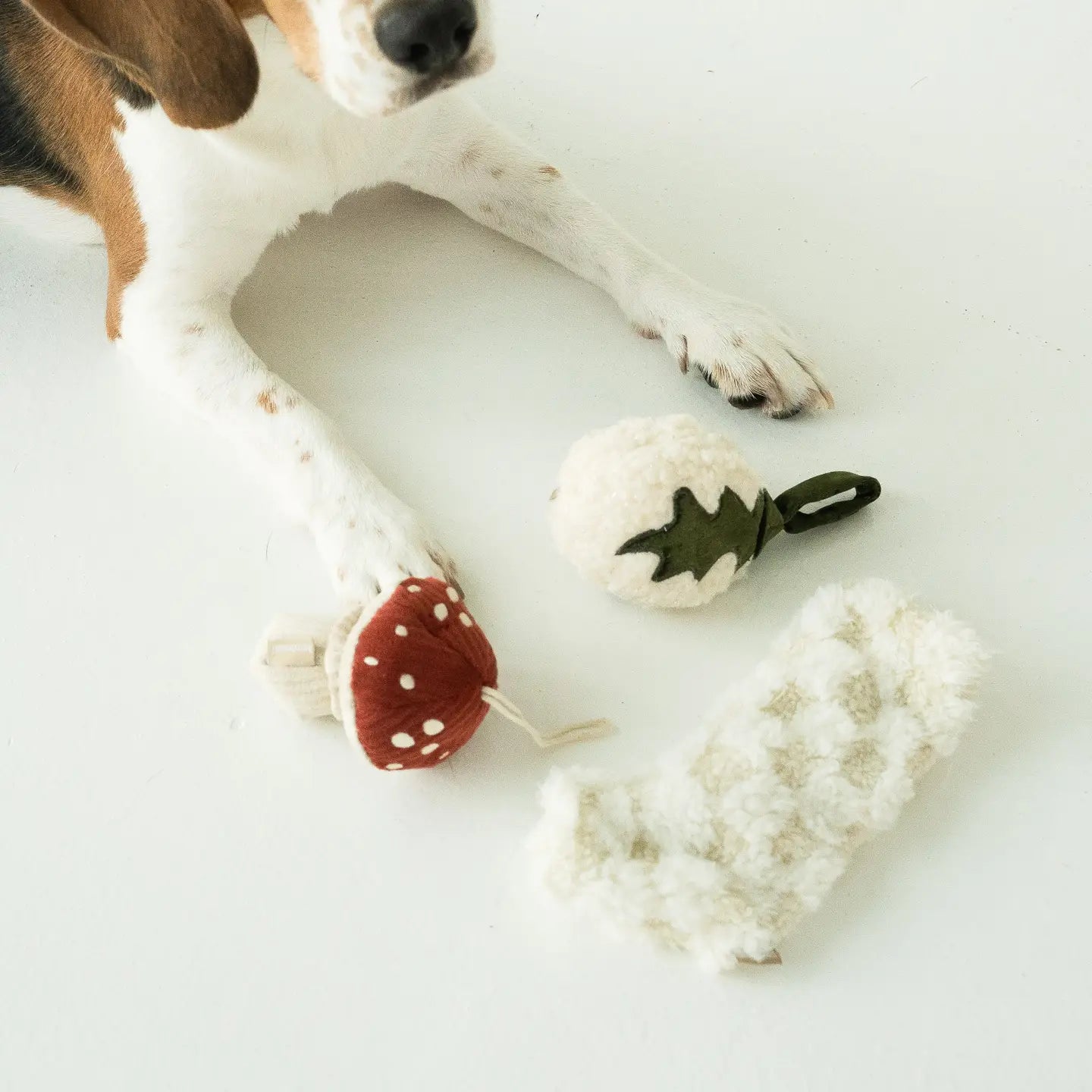 Small Xmas Stocking Dog Toy