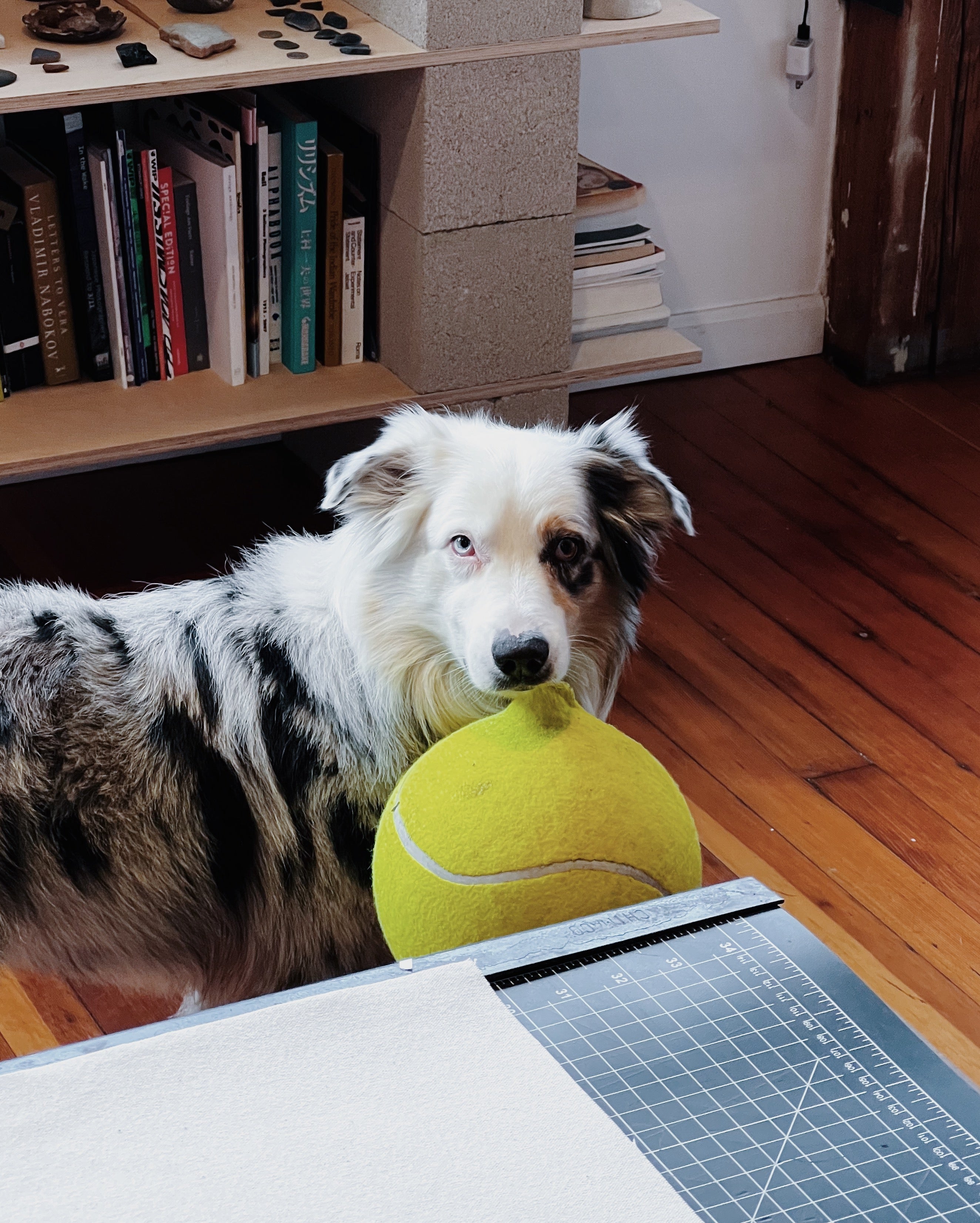 Jumbo Tennis Ball