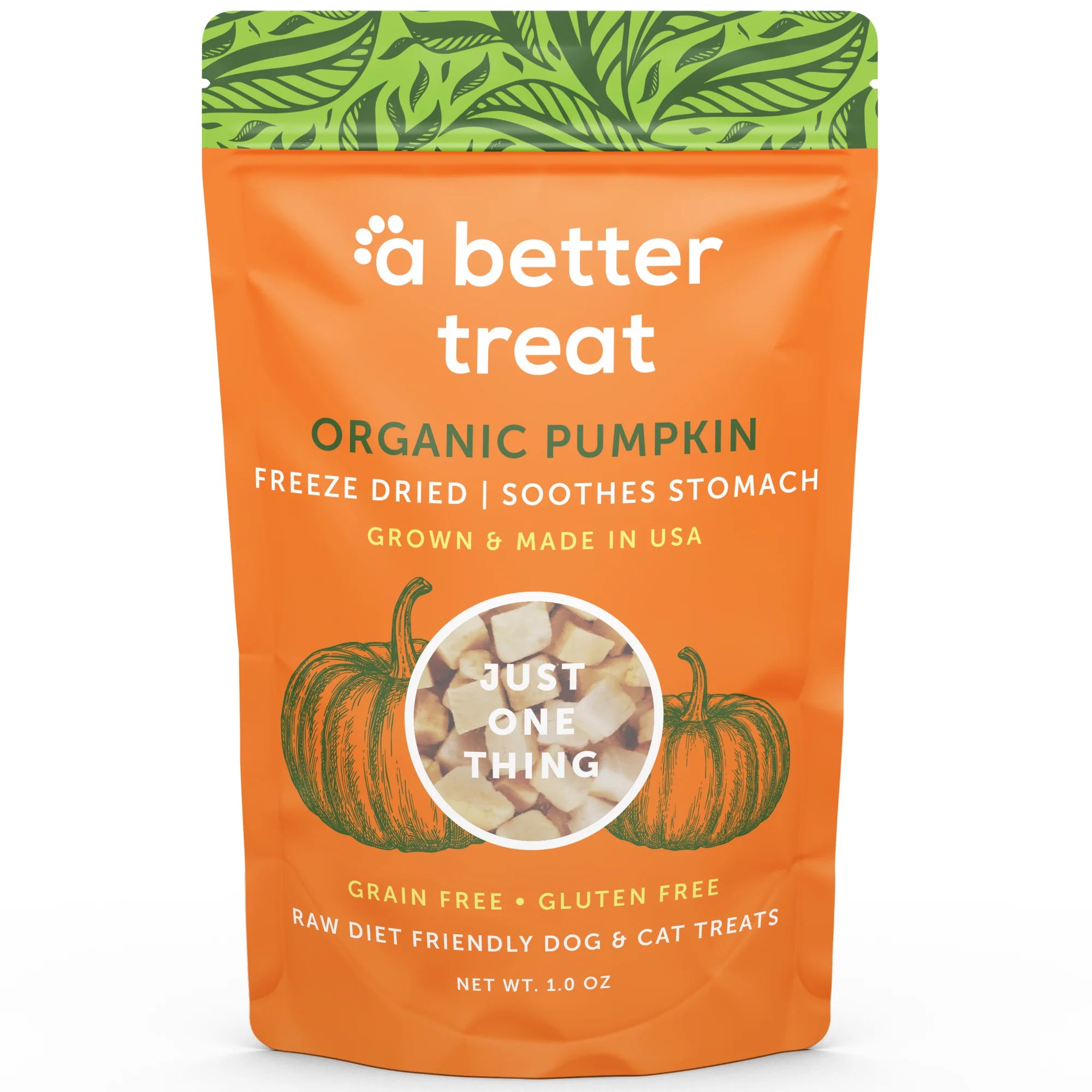 Freeze Dried Raw Organic Pumpkin Dog and Cat Treats