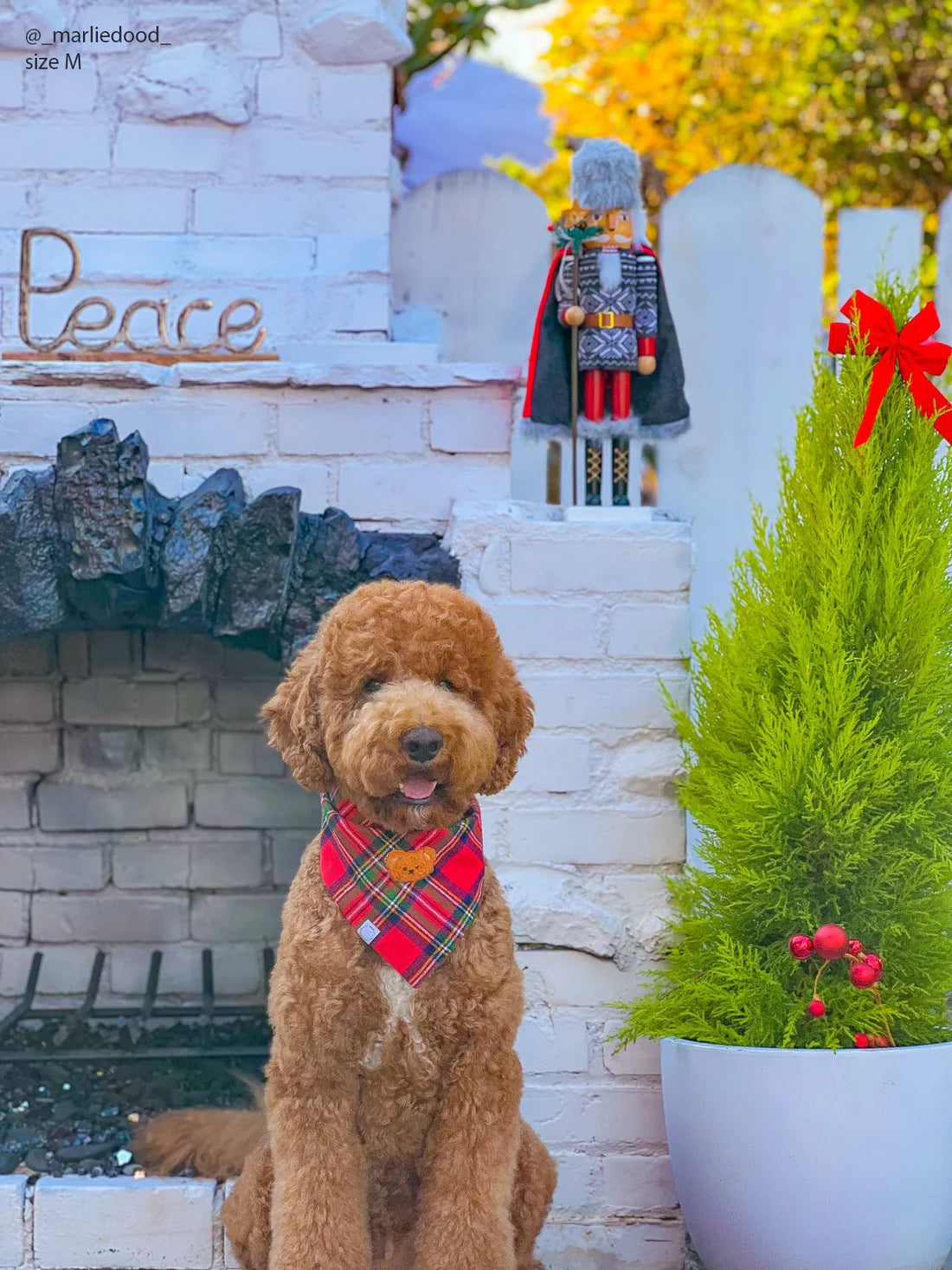 Christmas Flannel Teddy Bear Dog Bandana