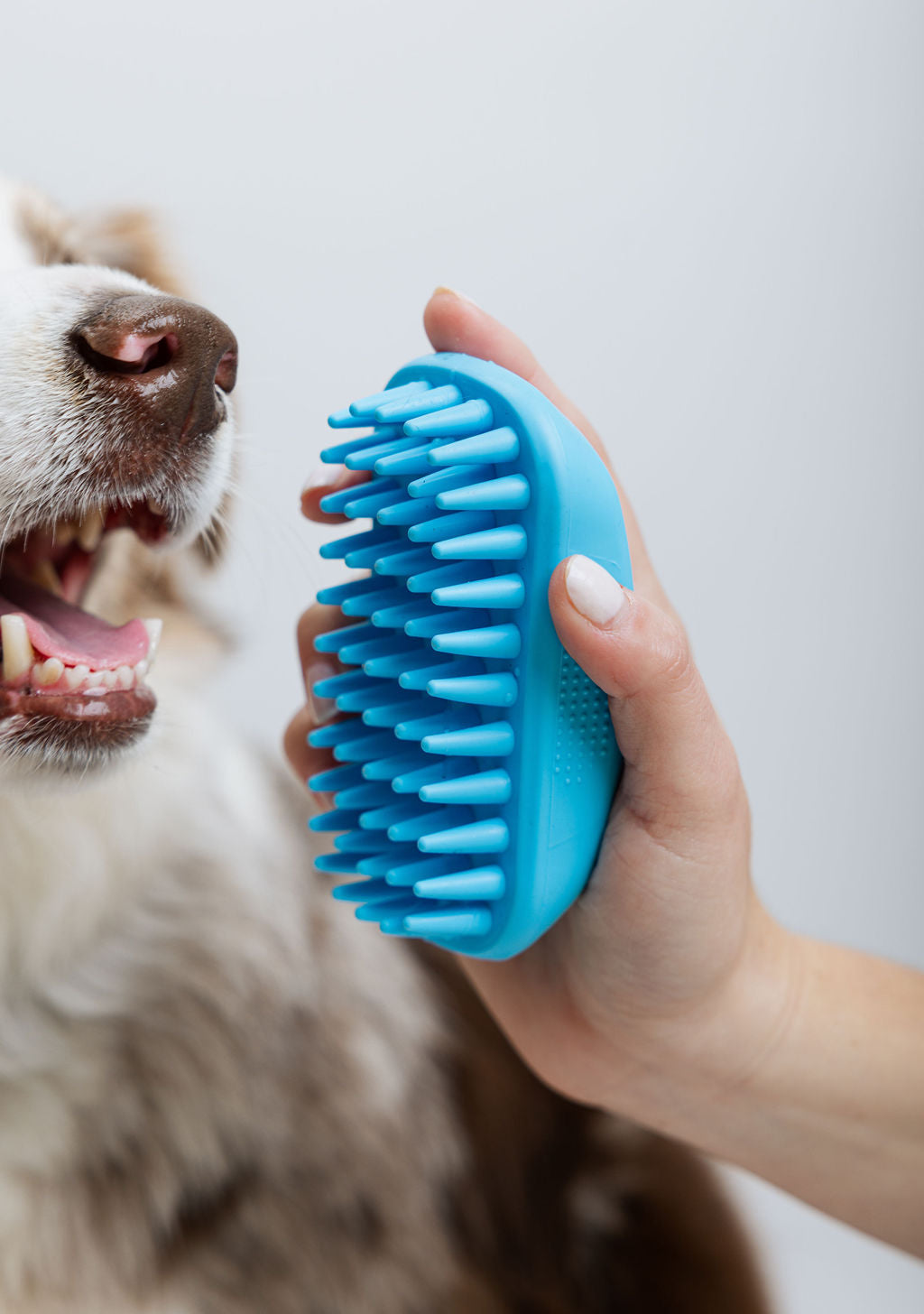 The Bath Time Brush