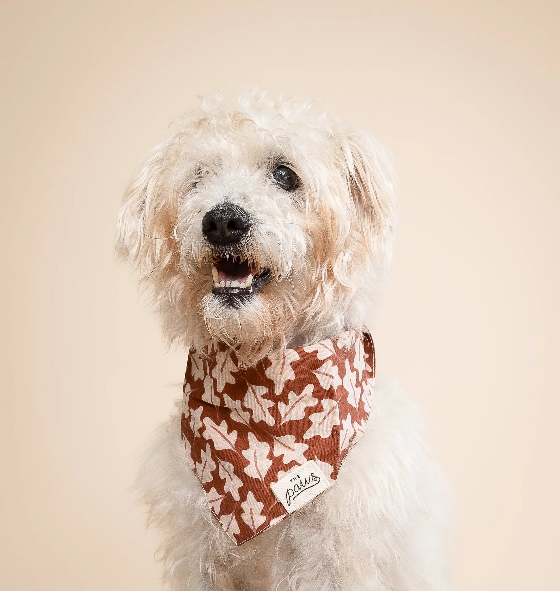 Hudson Fall Dog Bandana