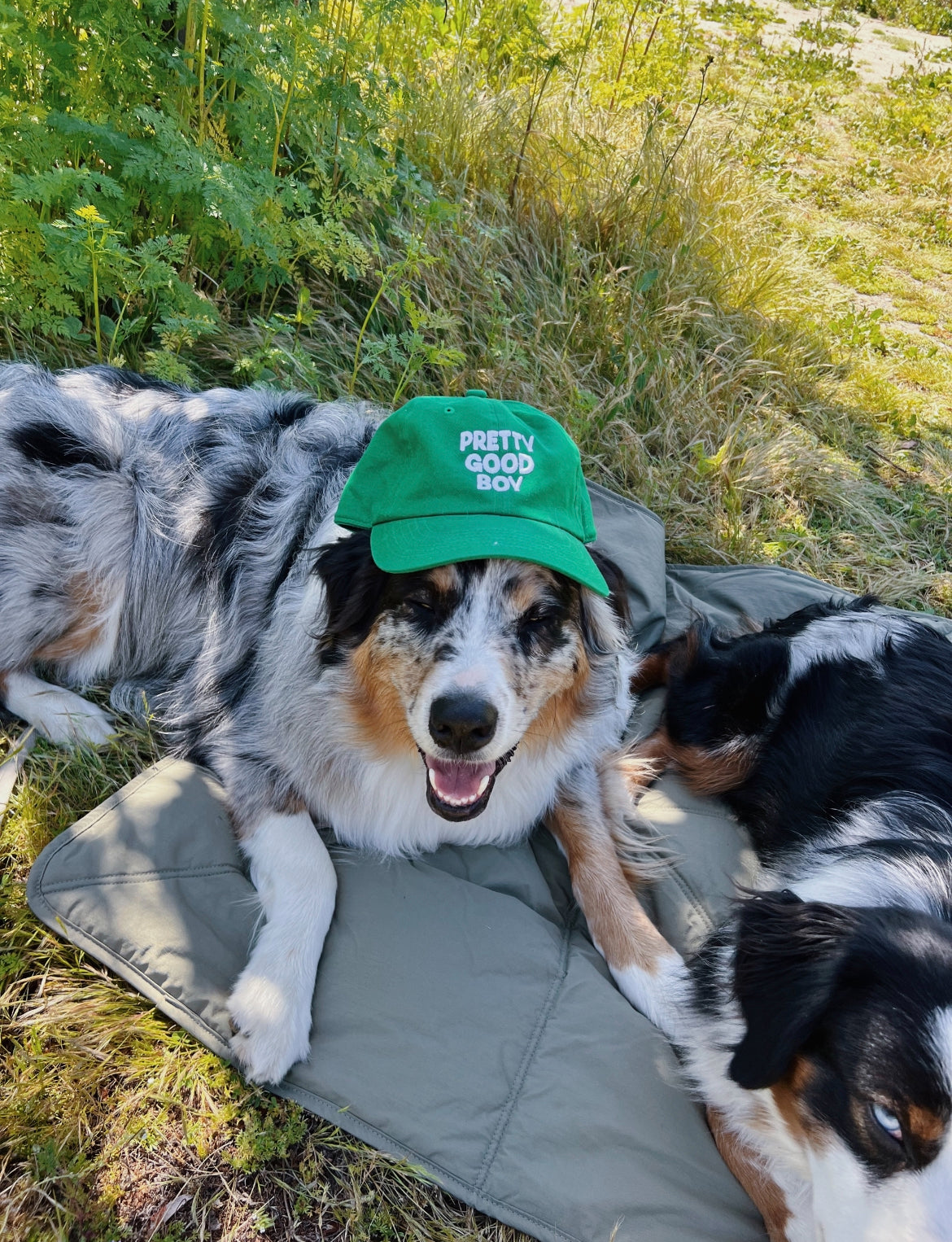 Pretty Good Boy Dad Hat