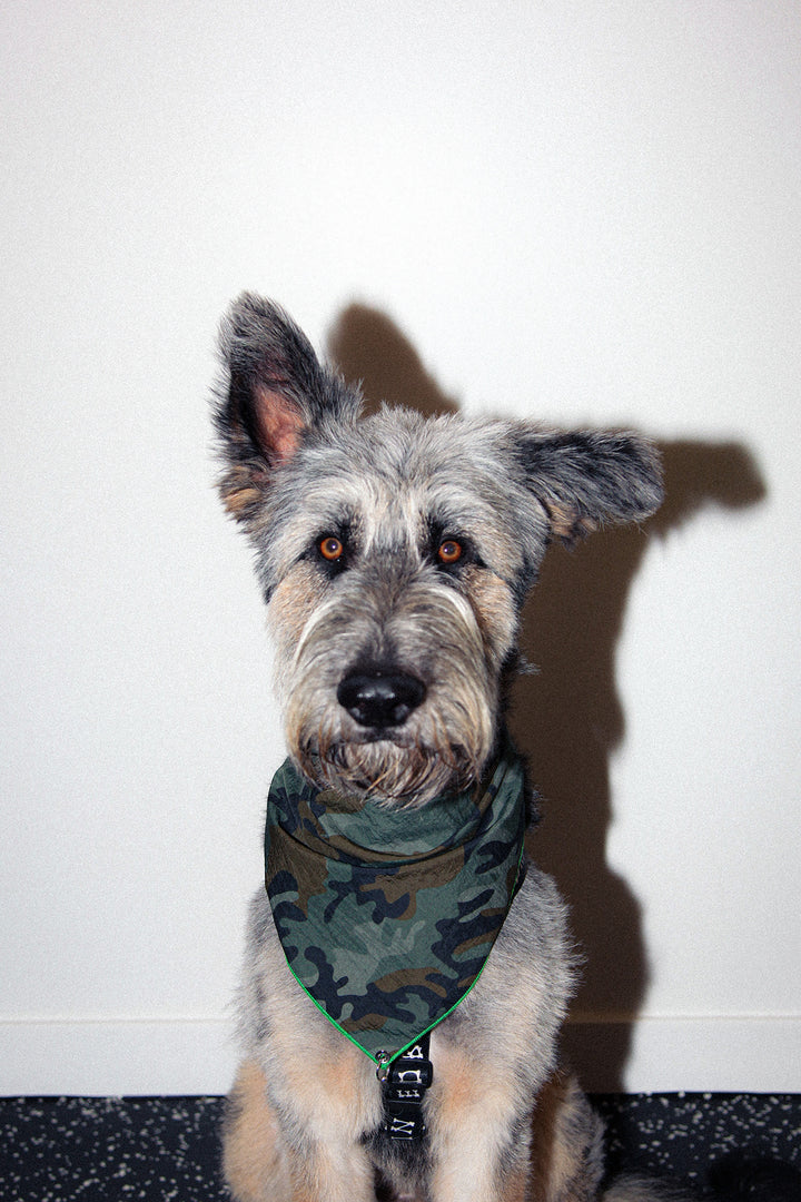 Pierced Bandana