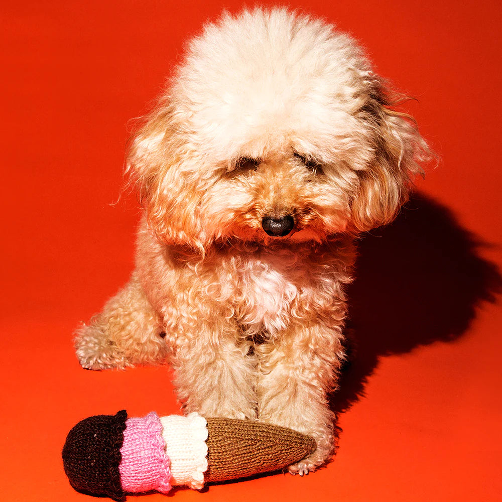 Hand Knit Ice Cream Cone Dog Toy