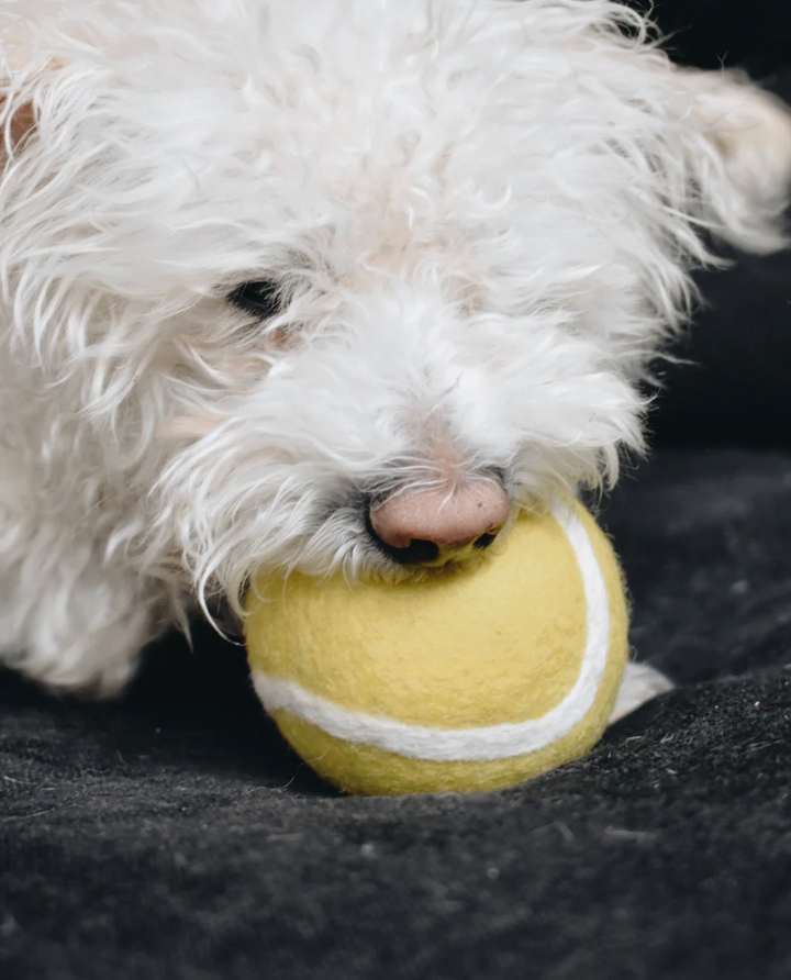 Wool Tennis Ball