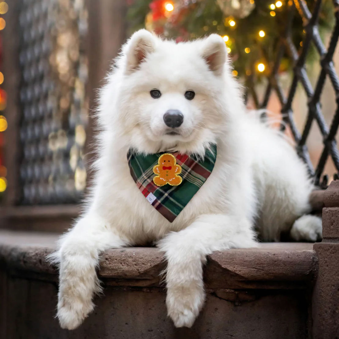 Gingerbread Green Tartan Flannel Dog Bandana