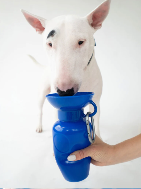 Classic Dog Travel Bottle