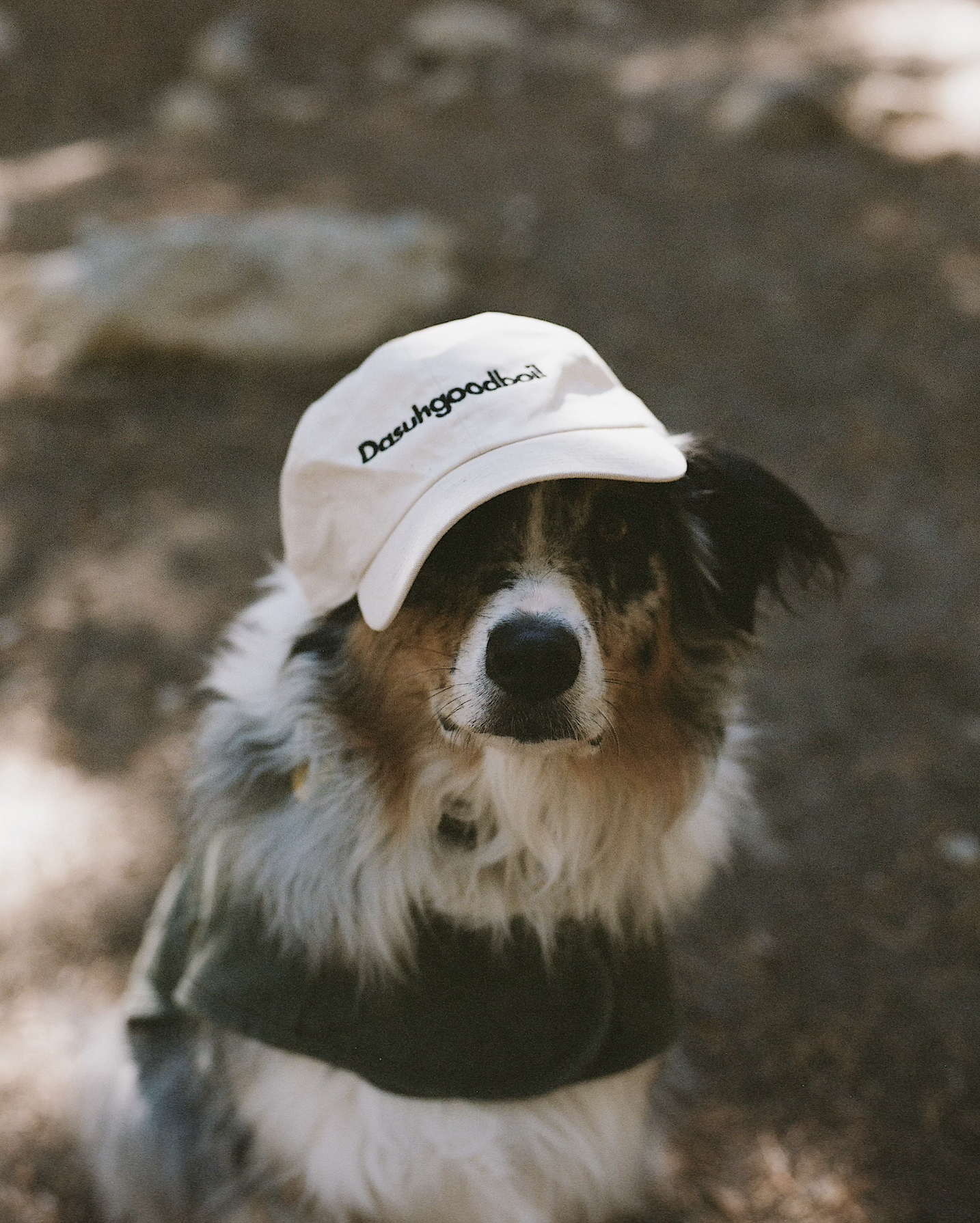 Dasuhgoodboi! Dad Hat