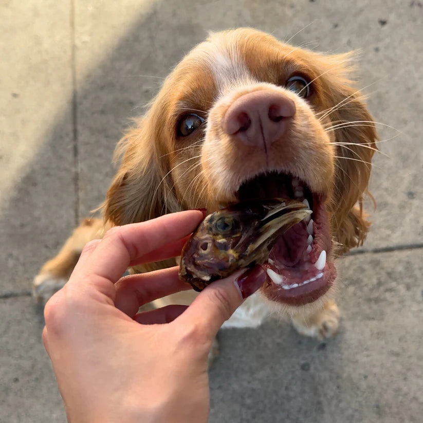 Cabezitas - Chicken Head Dog Treats