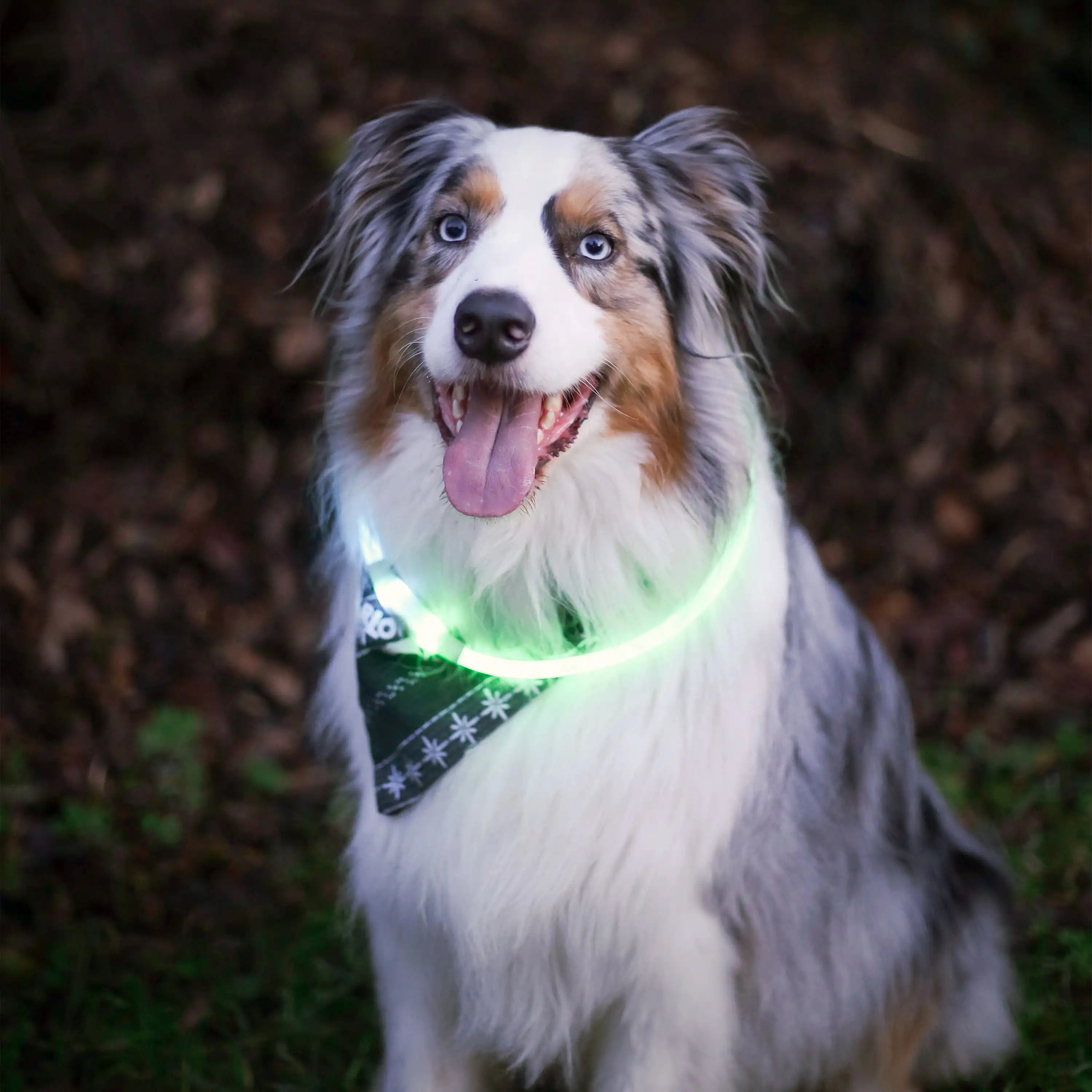 NiteHowl® Rechargeable LED Safety Necklace - Disc-O Select™