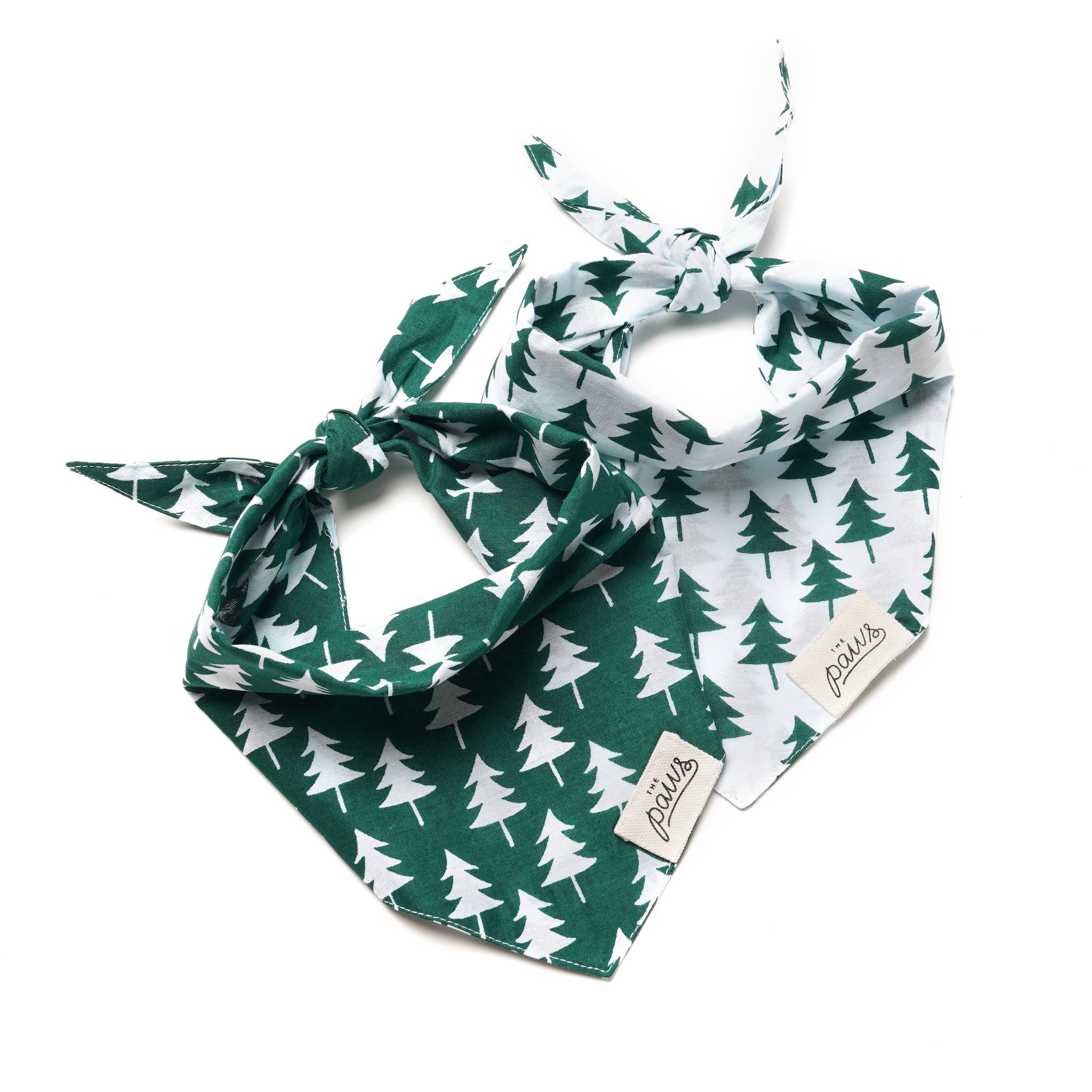 Bellingham Dog Bandana