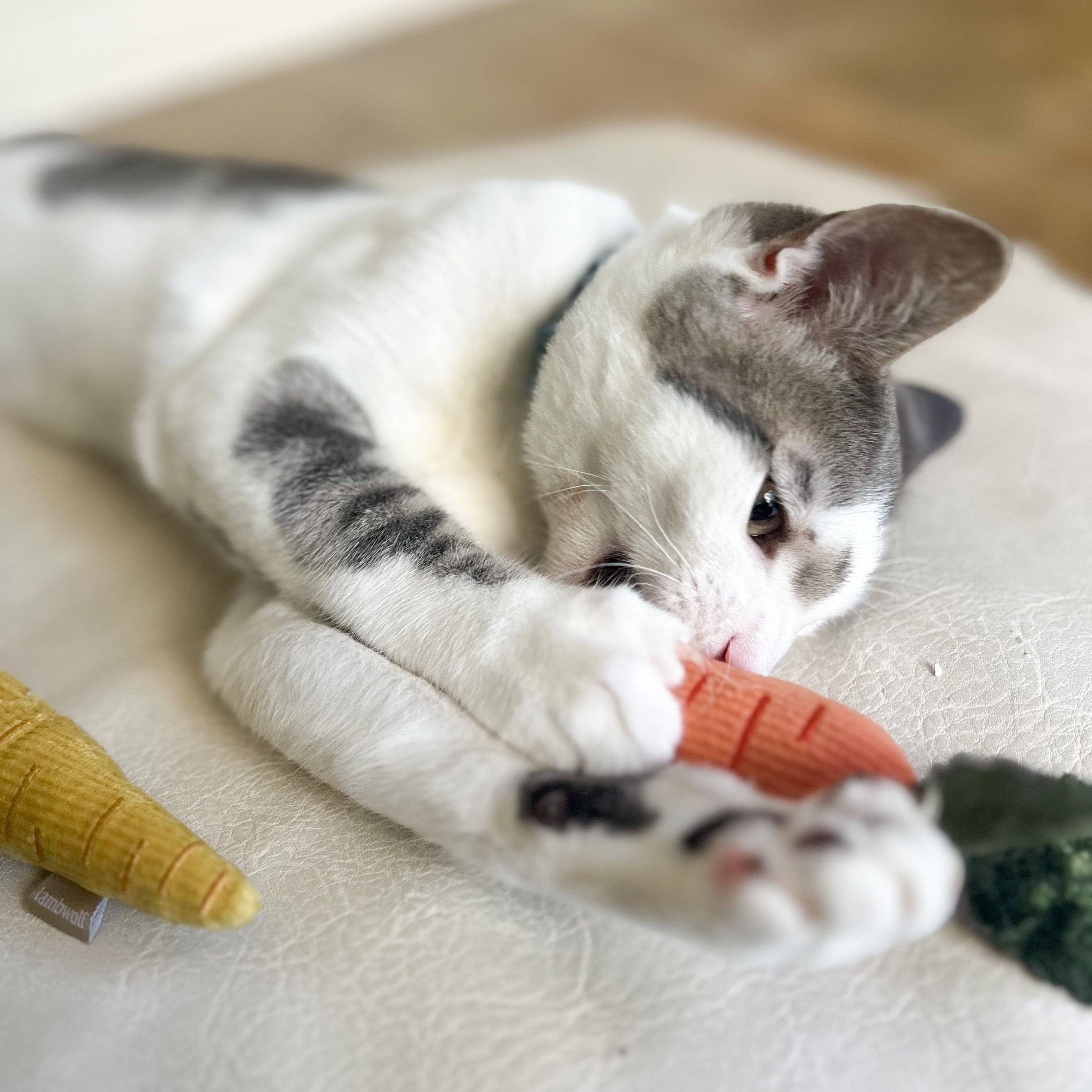 Kitty Baby Carrots Toy