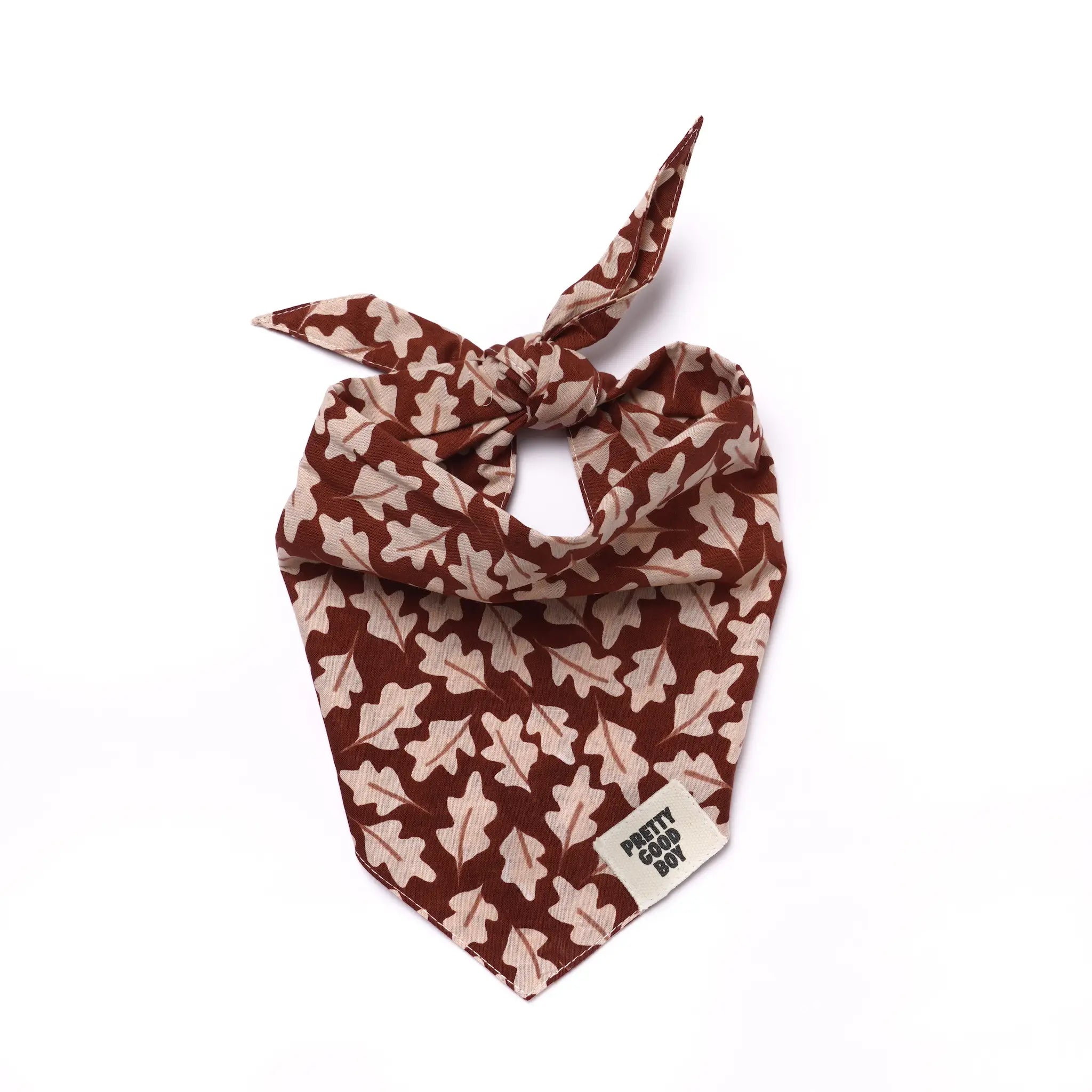 Hudson Fall Dog Bandana