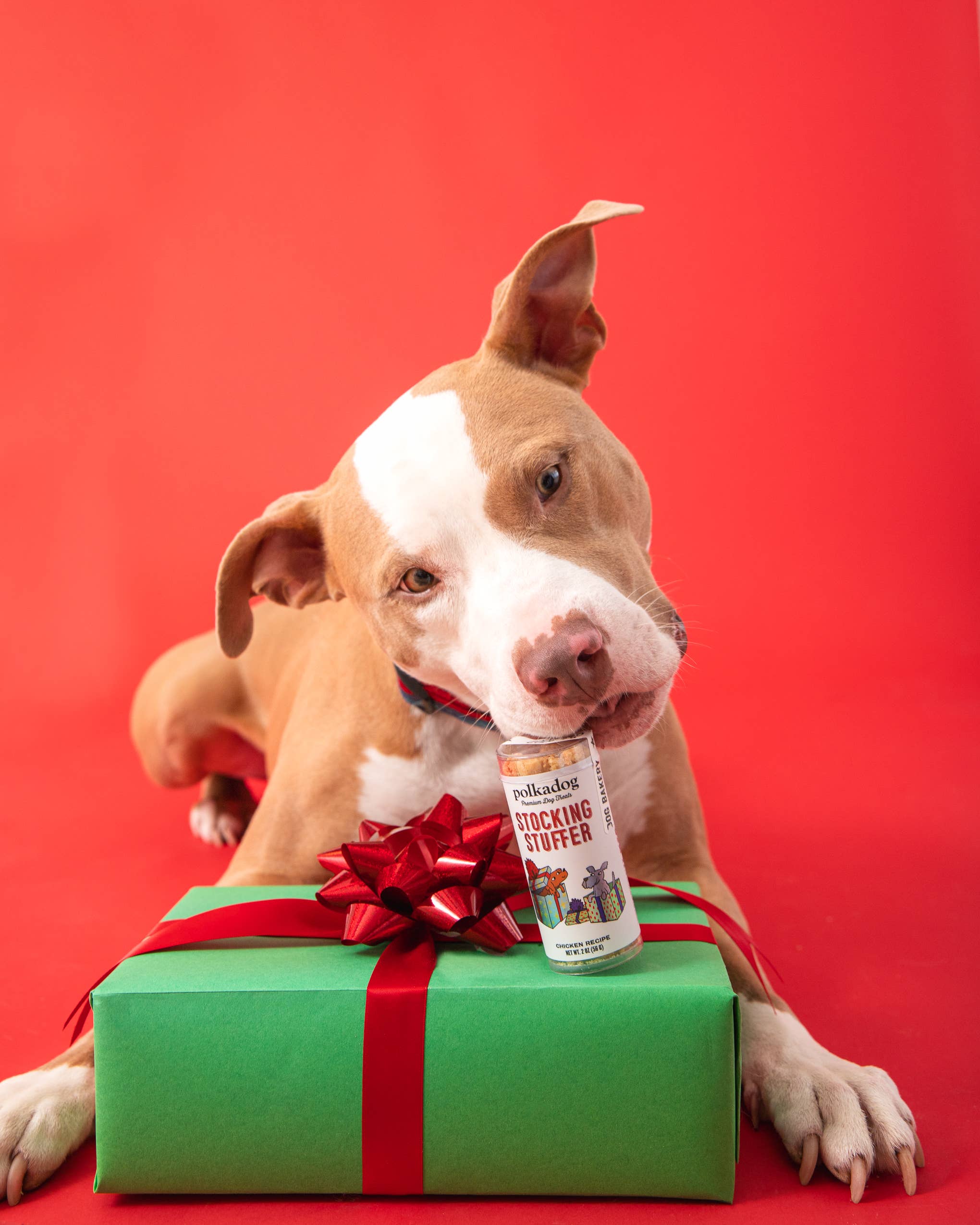 Stocking Stuffer Mini Tube Treats - Chicken