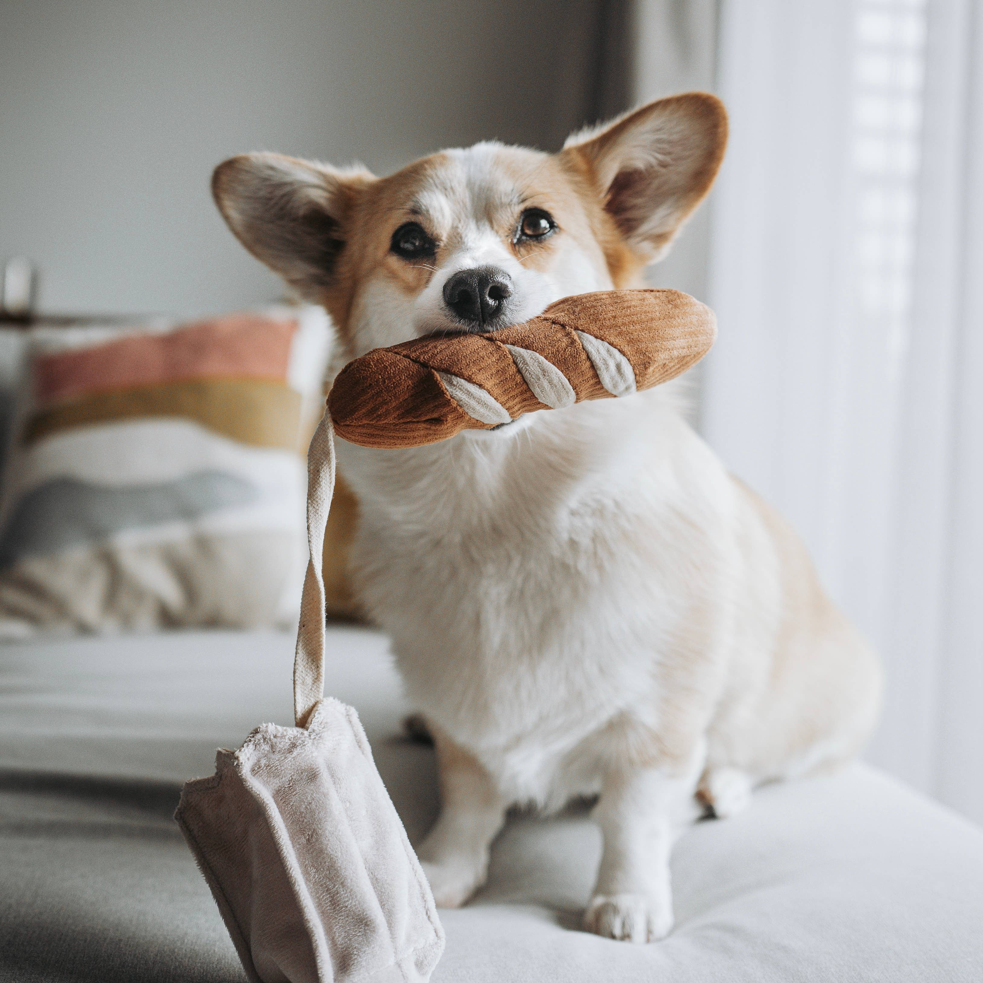 Mini Baguette Dog Toy