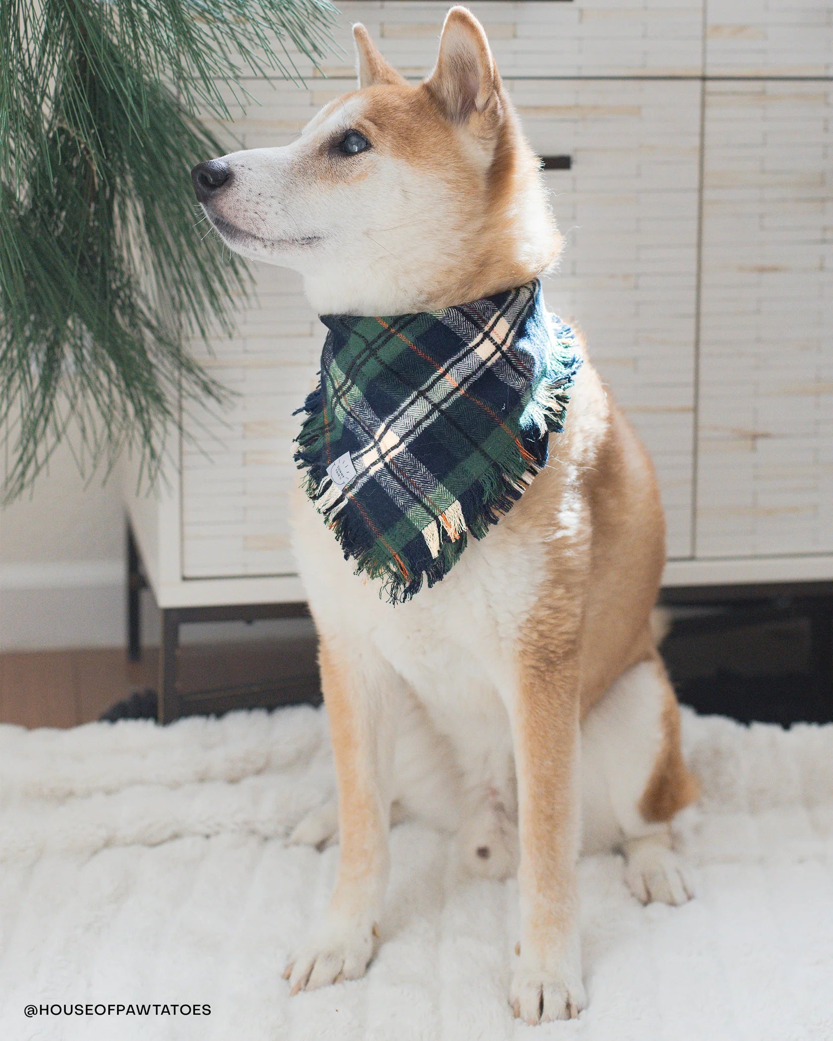 Evergreen Plaid Frayed Dog Bandana