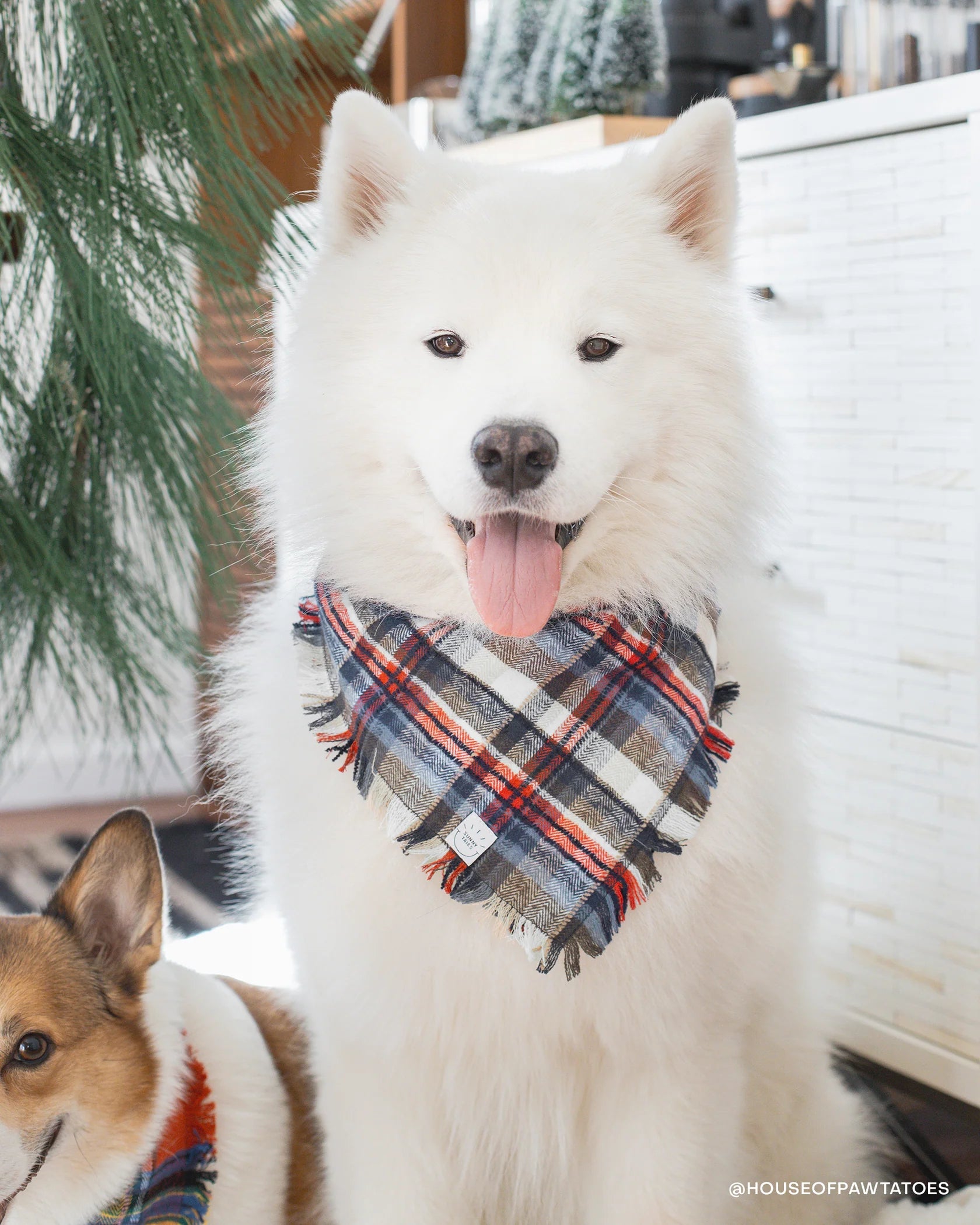 Frosted Forest Frayed Dog Bandana