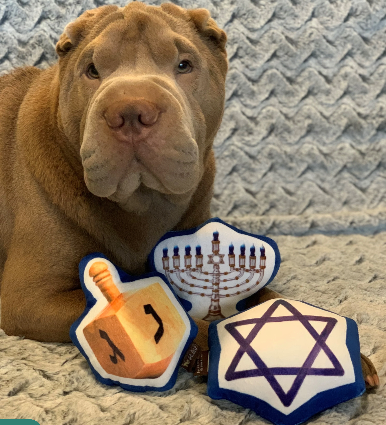 Hanukkah Toy Set