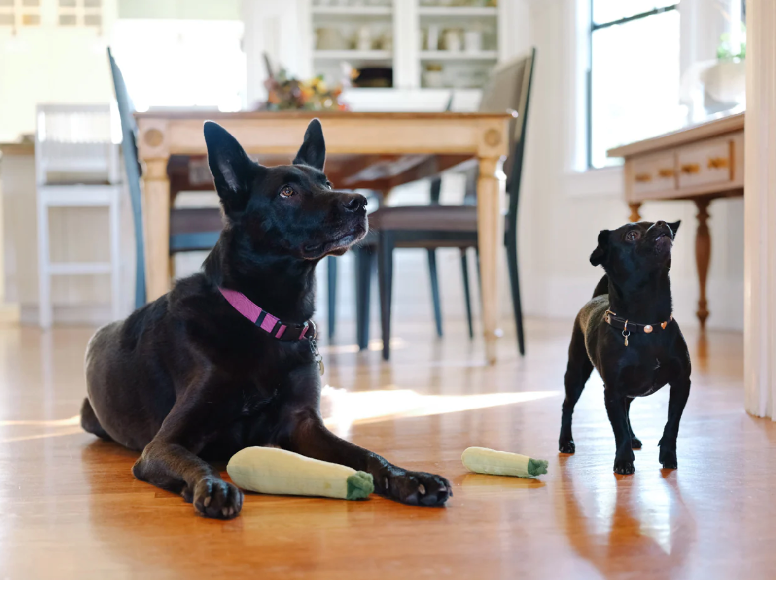 Garden Fresh Zucchini Toy