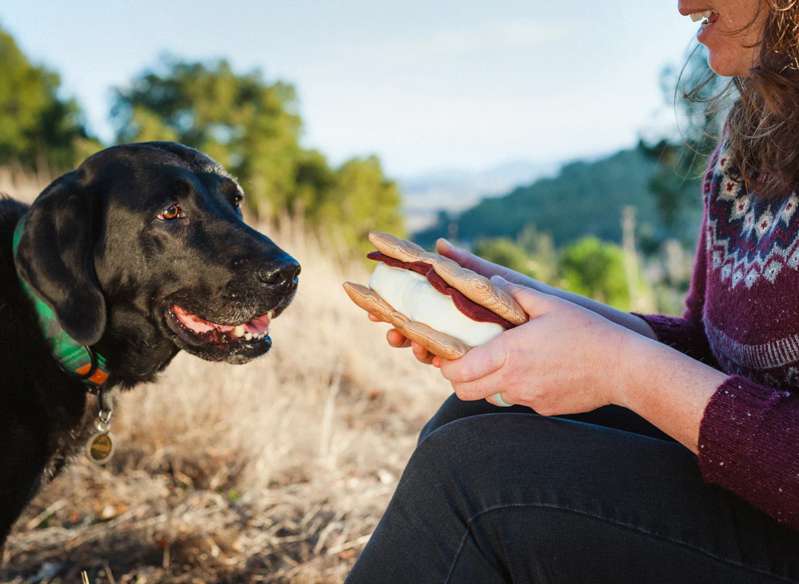 Camp Corbin Gimme S'more Toy