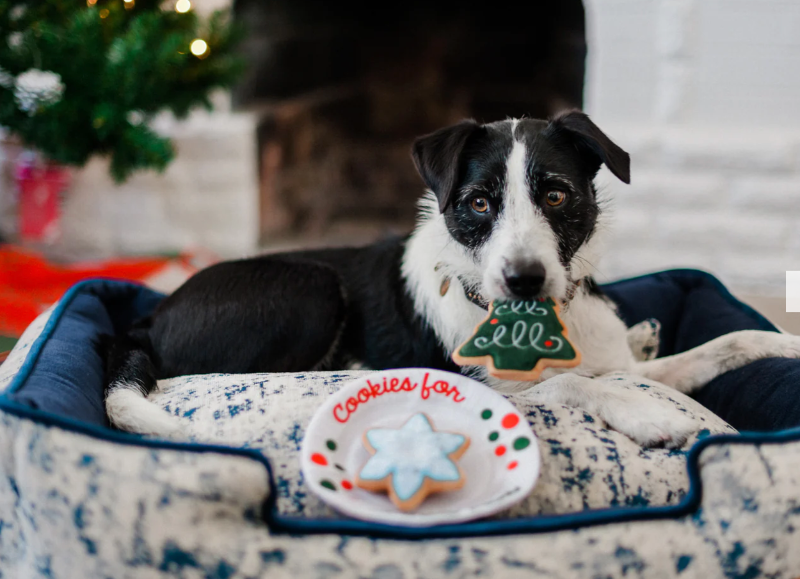 Merry Woofmas Christmas Eve Cookies Toy