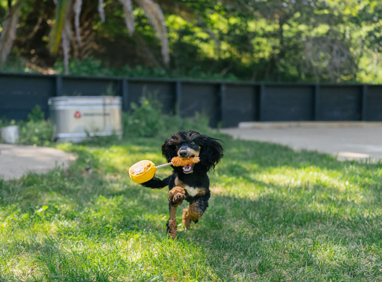 Mini Barking Brunch Chicken and Woofles Toy