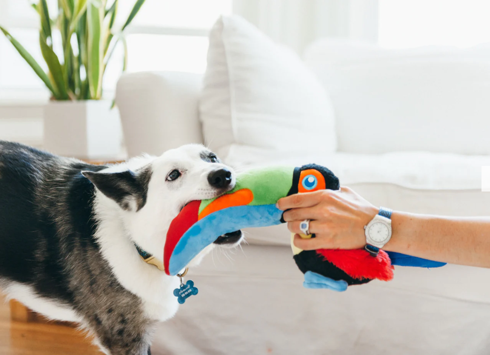 Fetching Flock Tito the Toucan Toy