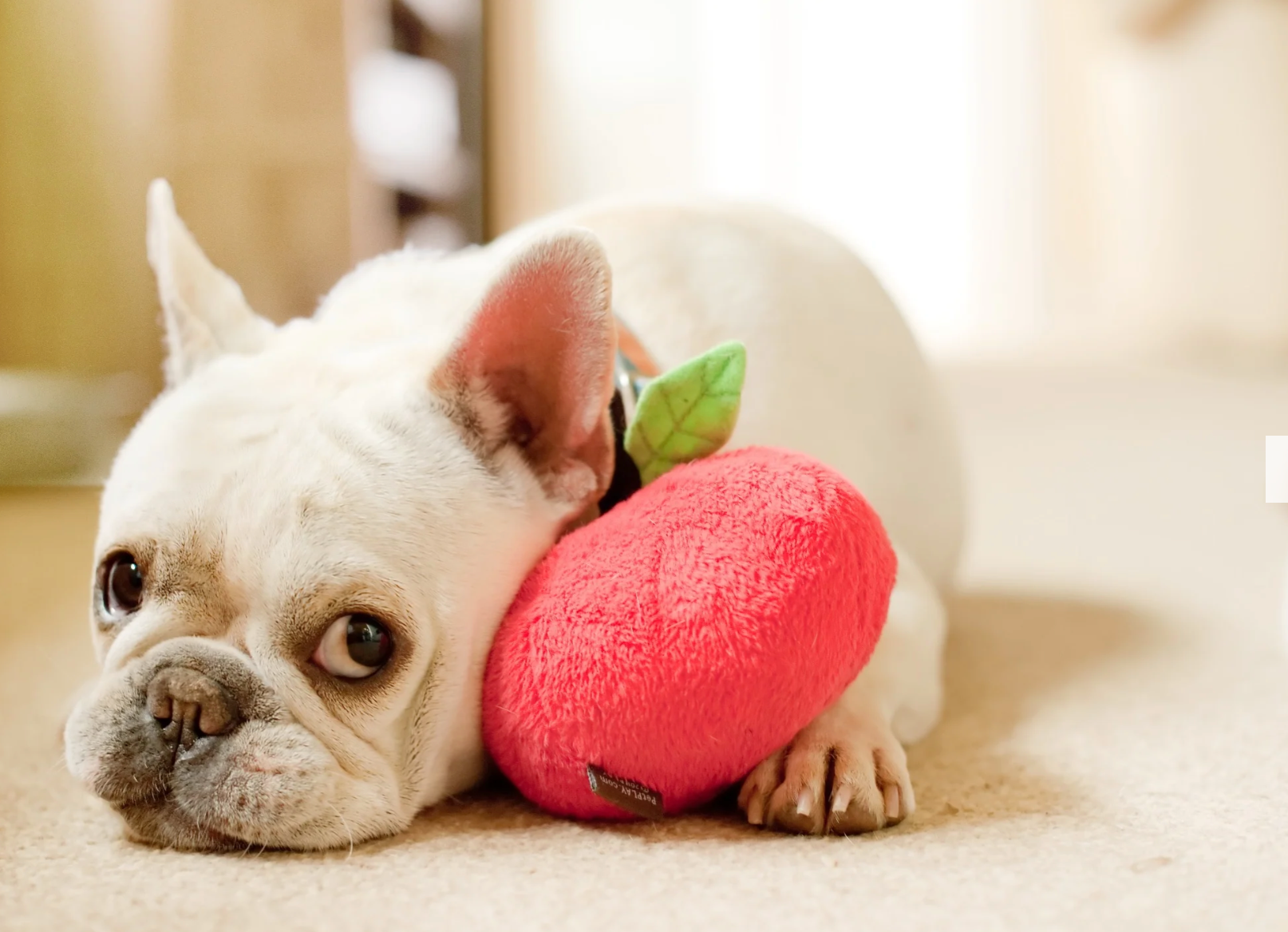 Garden Fresh Apple Toy