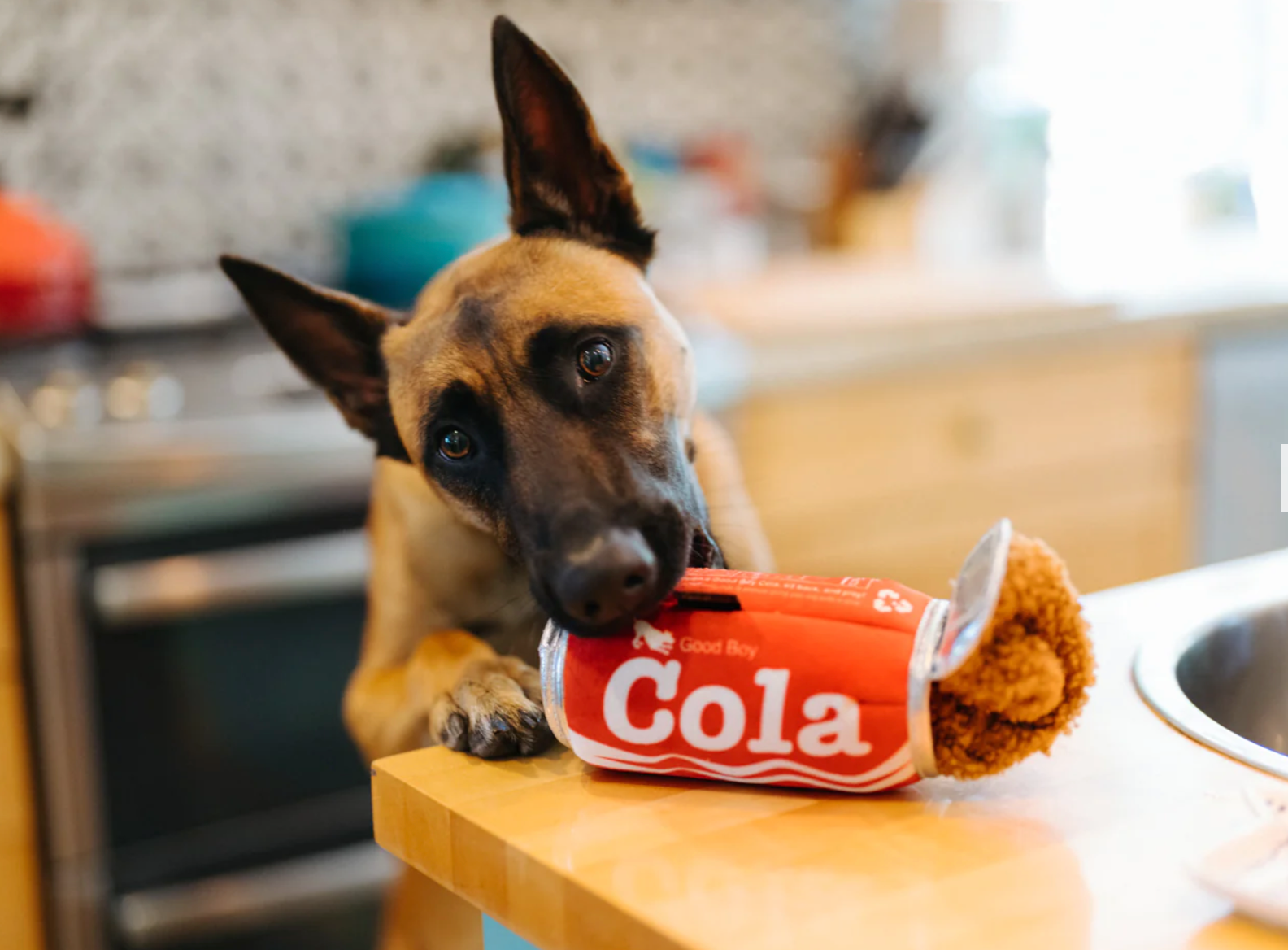 Snack Attack Good Boy Cola Toy