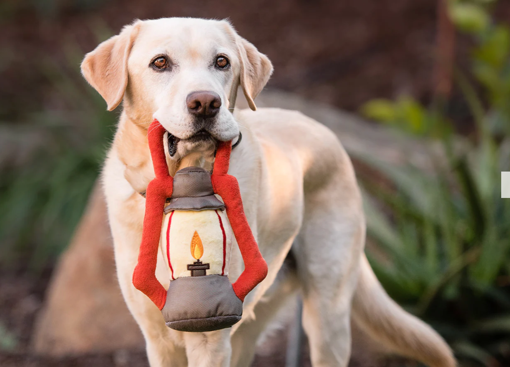 Camp Corbin Pack Leader Lantern Toy