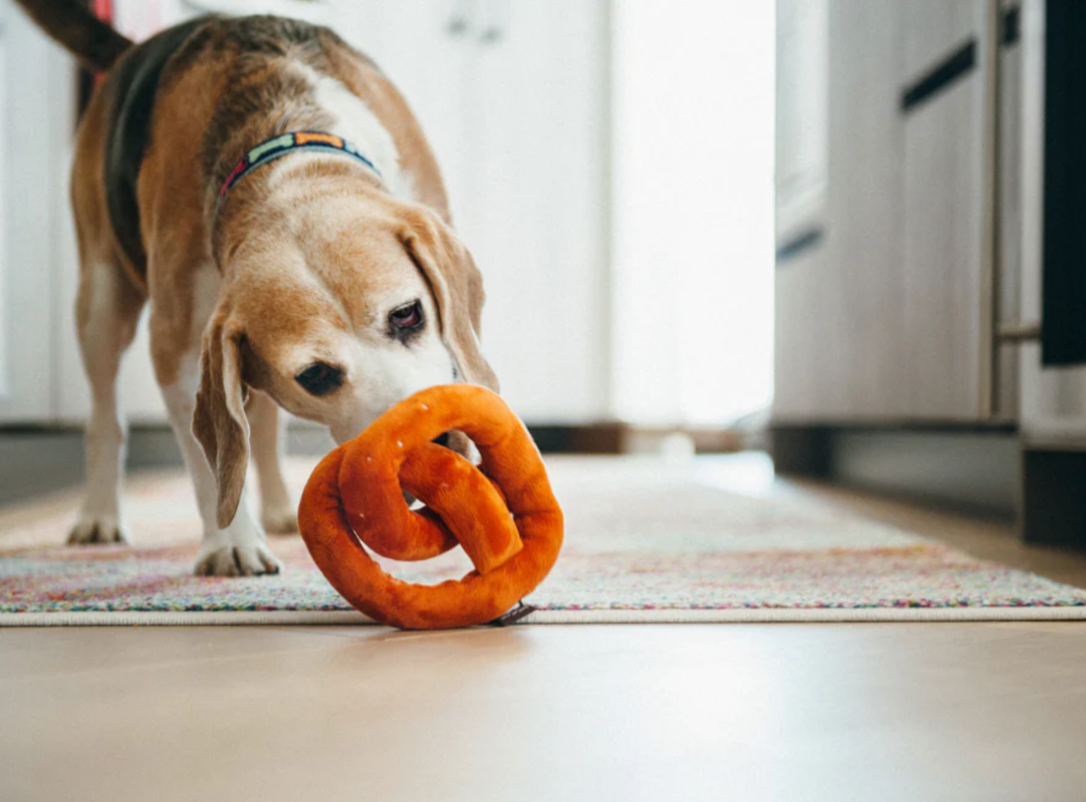 International Classic Poochie Pretzel Toy