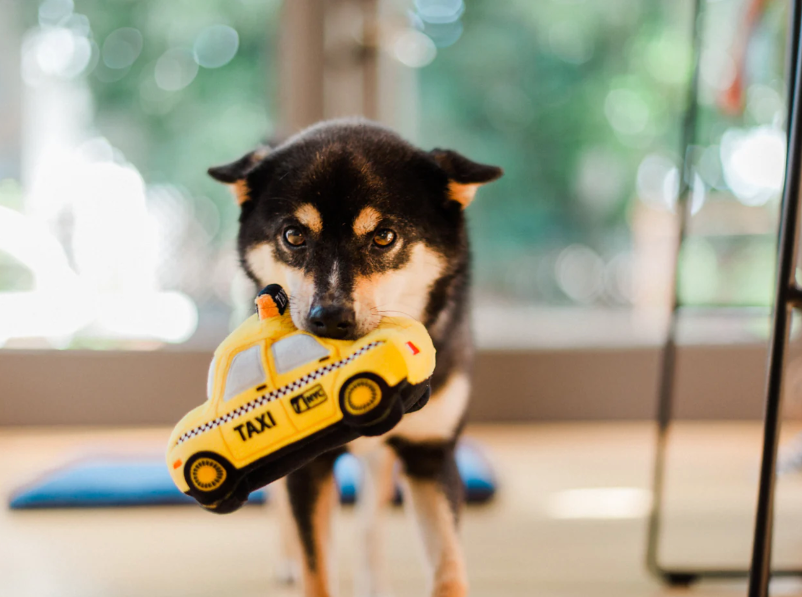 Canine Commute New Yap City Taxi Toy