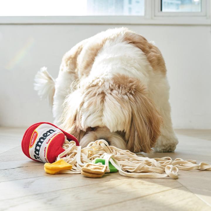 Ramen Nosework Noodle Toy