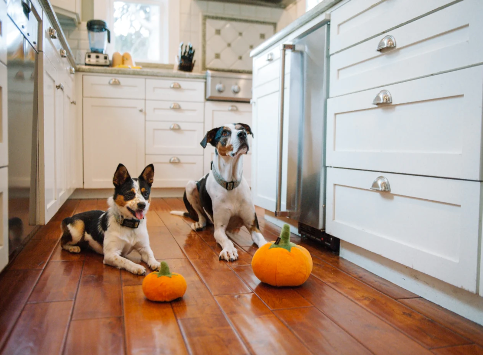 Mini Garden Fresh Pumpkin Toy