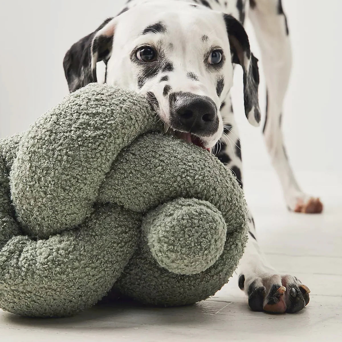 O NOU Toy - Oversized + Squeaky + Teddy Plush