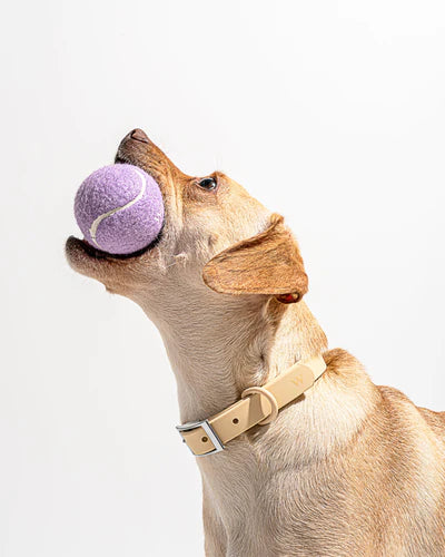 Tennis Balls - Set of 4