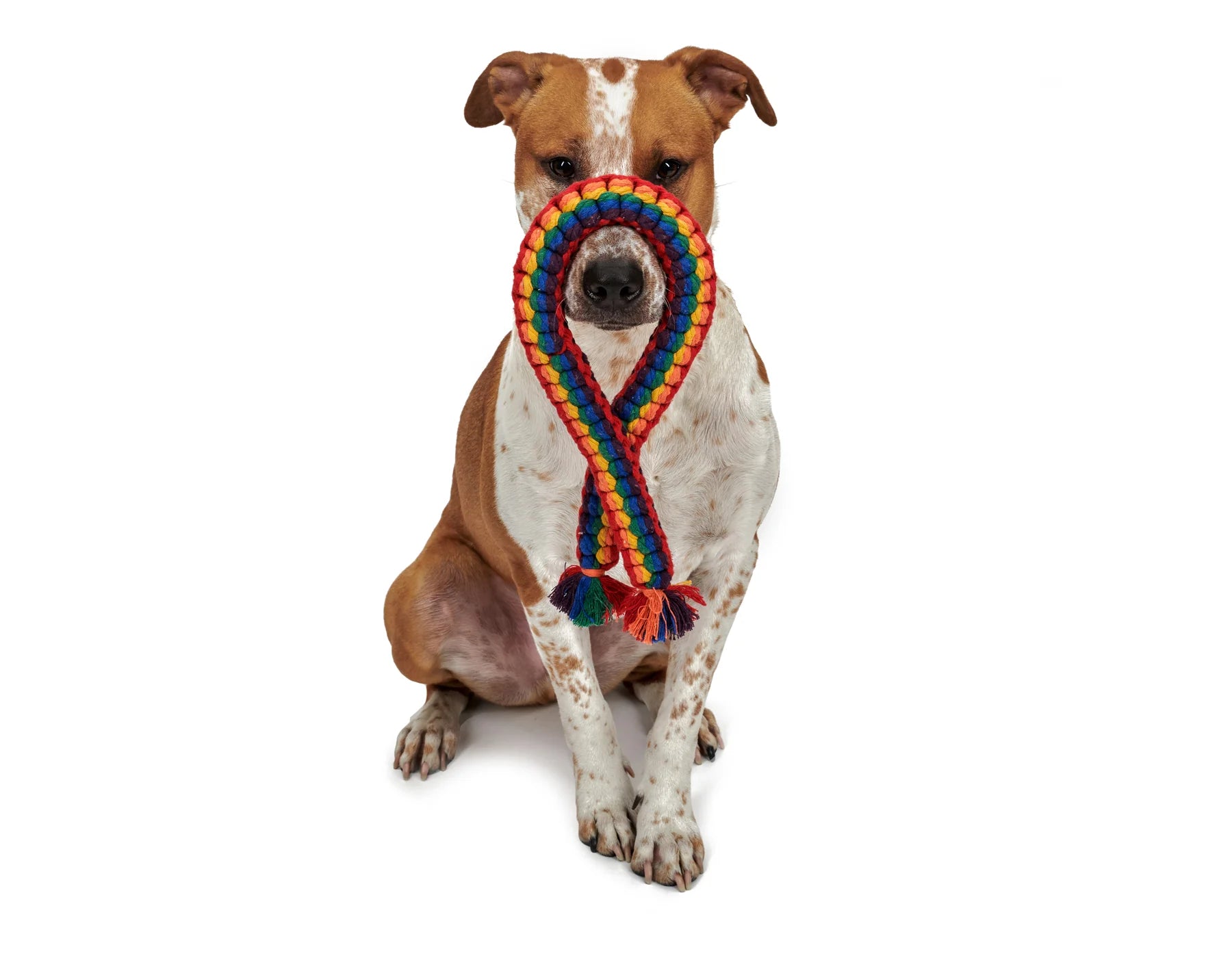 LGBT Rope Dog Toy