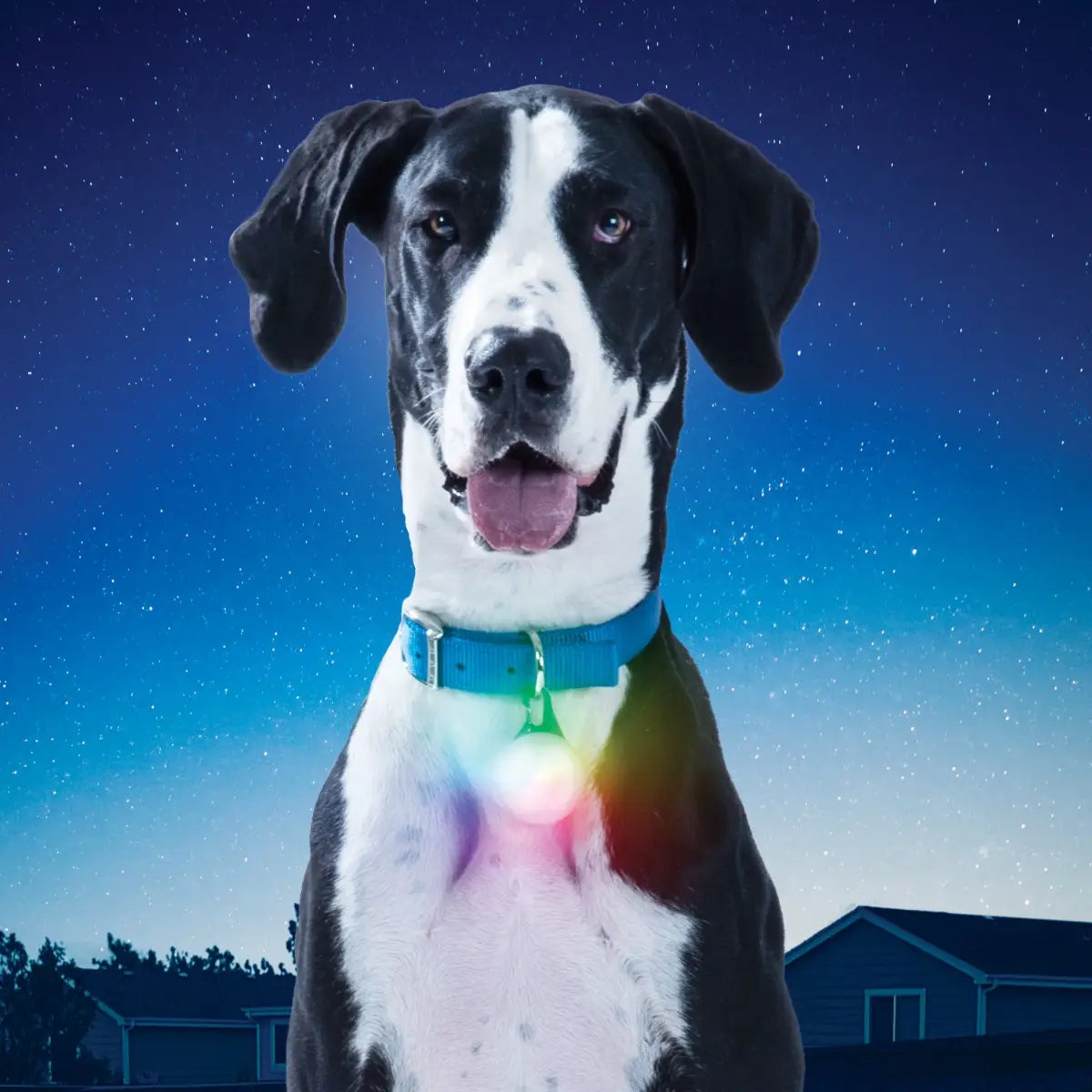 SpotLit® XL Rechargeable Collar Light - Disc-O Select™