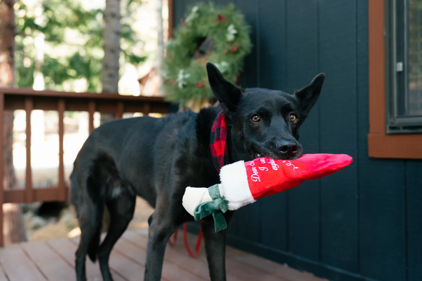 Merry Woofmas Good Dog Stocking Toy