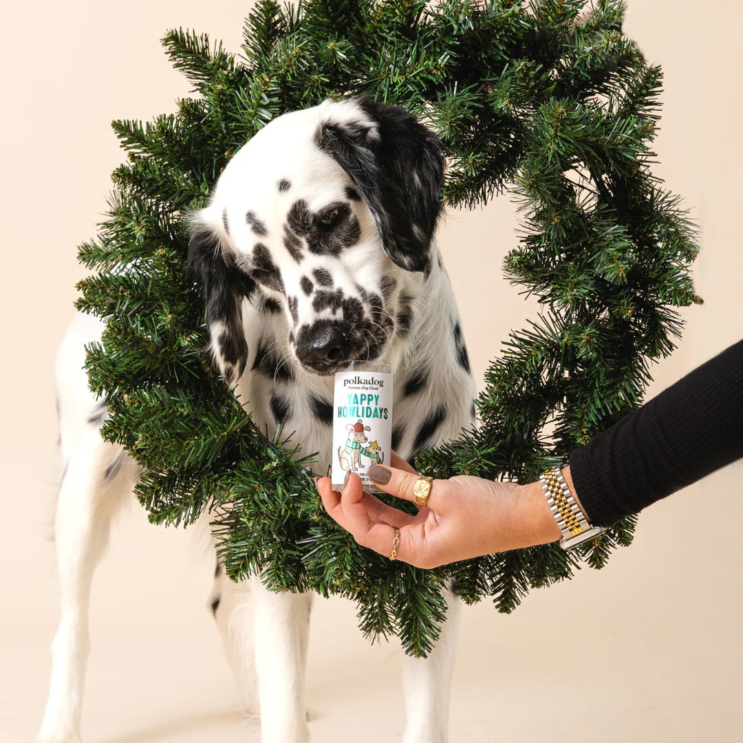 Yappy Howlidays Mini Tube Treats - Duck