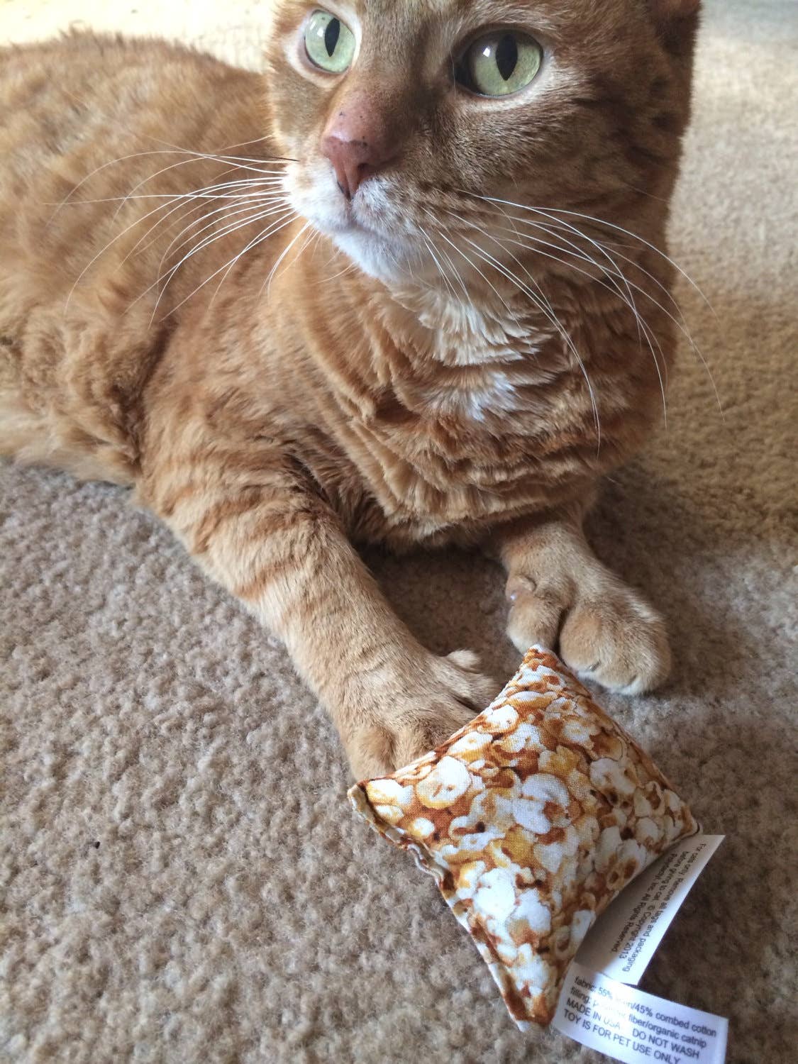 Popcorn Square Cat Toy