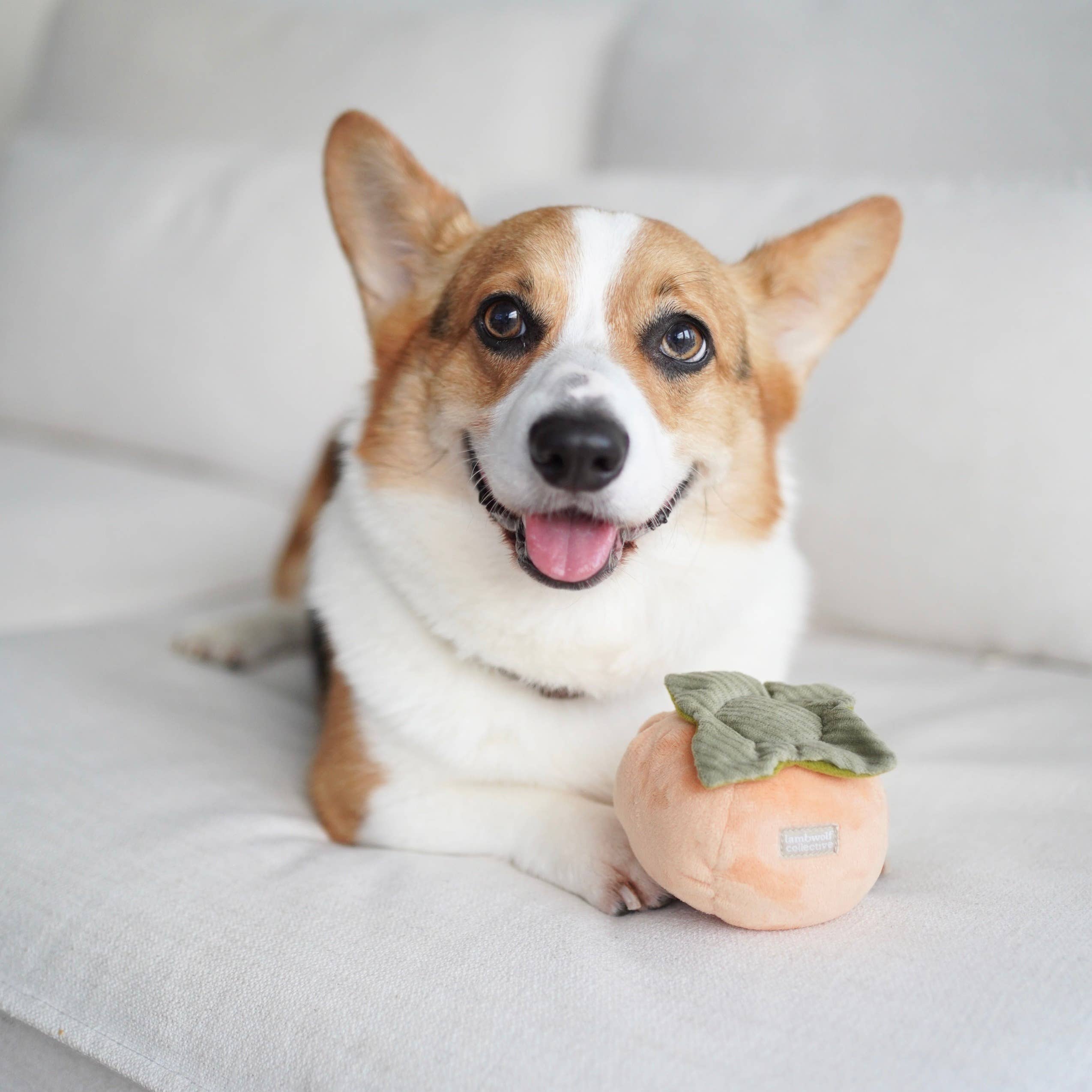 Persimmon Dog Toy